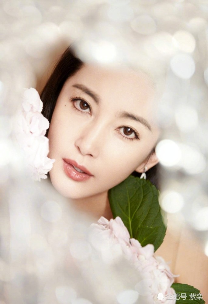 李冰冰是个好老板,旗下艺人虽发展不同但资源都很不错_腾讯新闻