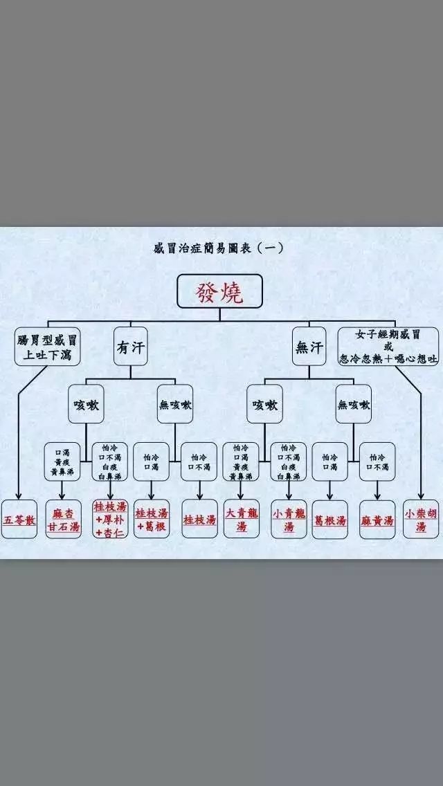 倪海廈:感冒八大經方