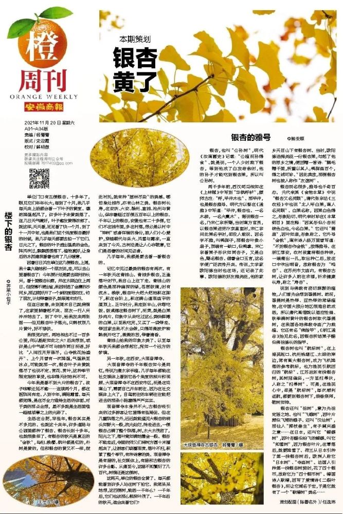 马鞍山市委原常委秘书长何志中被双开