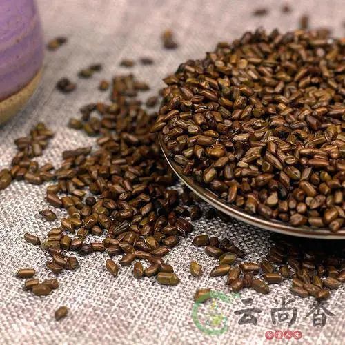 決明子茶的功效與作用及副作用