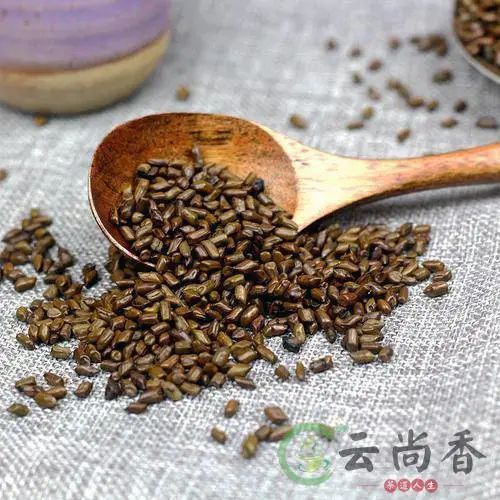 決明子茶的功效與作用及副作用