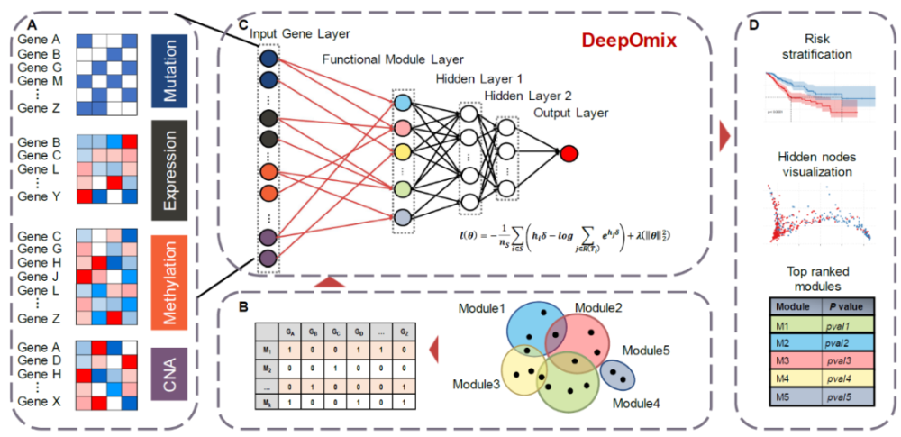 中科院计算所赵屹团队发表多组学数据融合深度学习框架deepomix