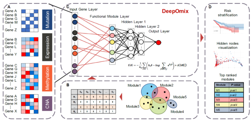 中科院计算所赵屹团队发表多组学数据融合深度学习框架——DeepOmix_腾讯新闻