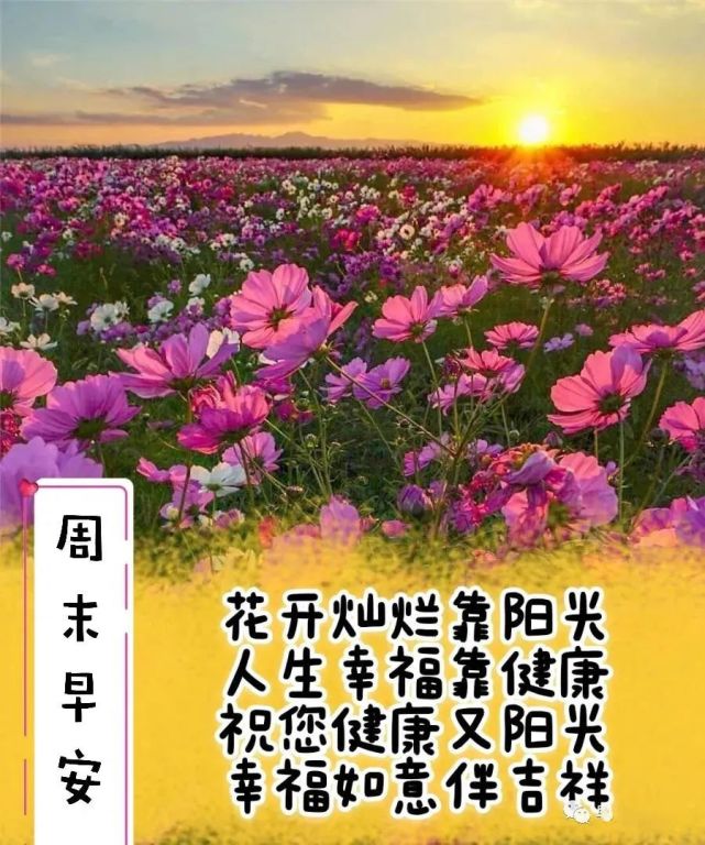 冬日清晨早上好祝福图片带字温馨,周末早上好图片表情动态带字