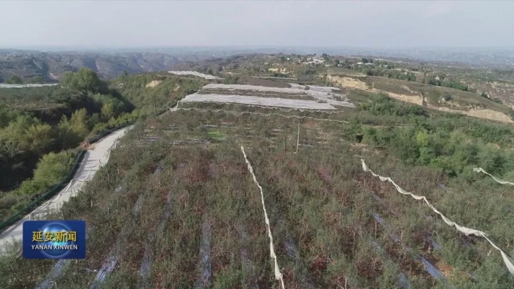 王瑞起:返乡当好村干部 山村一年一变样_腾讯新闻