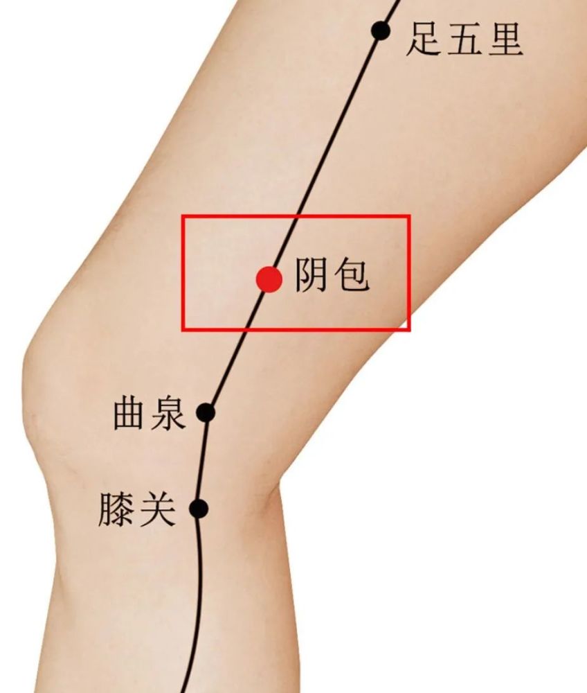 3,揉腋窝,推肝经肝邪聚腋窝,疏肝理气多拍腋窝.