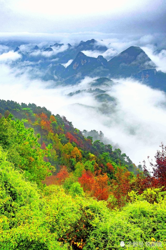 桂林尧山难得一见的红叶云海景观