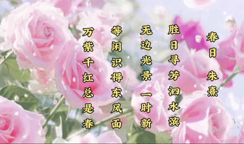 现在的我们也许想不了那么遥远,但"等闲识得东风面,万紫千红总是春"的