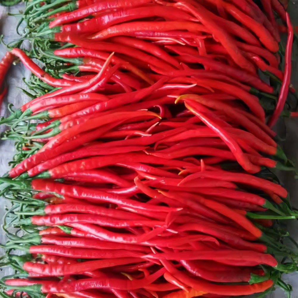 甘肃金昌十大特产有哪些