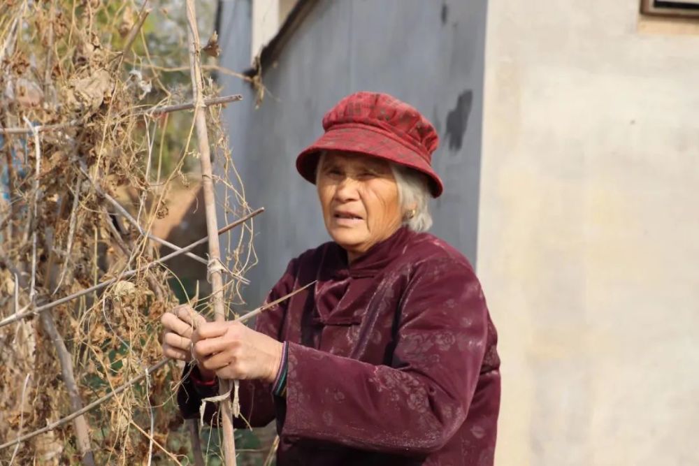 初冬蘇北鄉村老人的真實生活你想象不到在外的遊子都看看吧