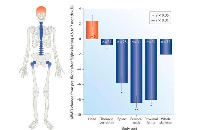 航天員在空間站會經歷什麼肌肉萎縮骨頭被掰開體液湧上大腦