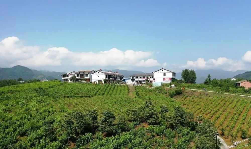 陕西省杨凌示范区杨陵区杨陵街道办事处元树村