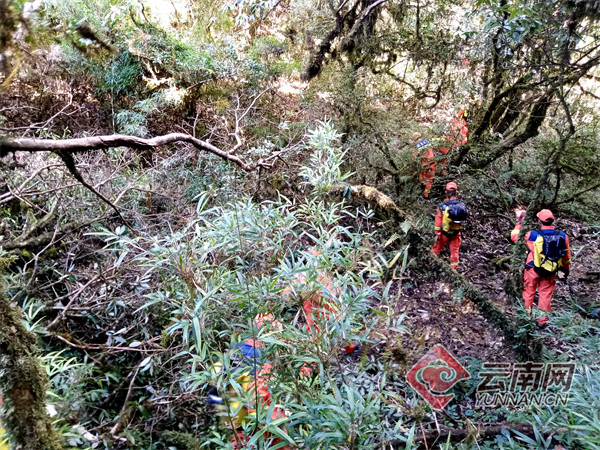 国家山岳救援昆明大队抵达哀牢山重点区域 全力搜救失联人员