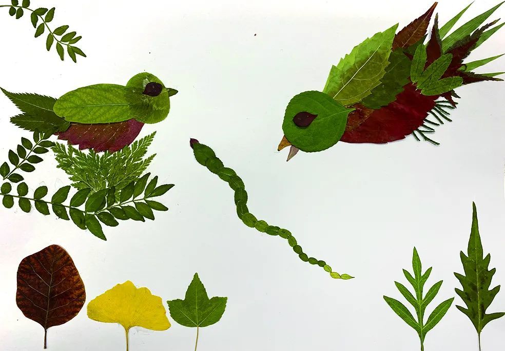 快来看孩子们的创意叶画_腾讯新闻