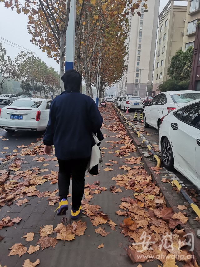 11月21日,在合肥市街头寒风凛冽.