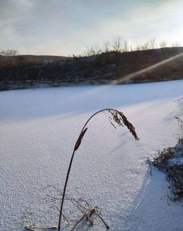 第一场雪 俊青图片