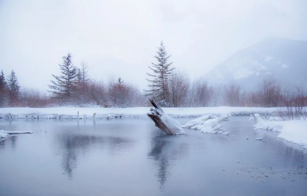 晚来天欲雪,能饮一杯无?