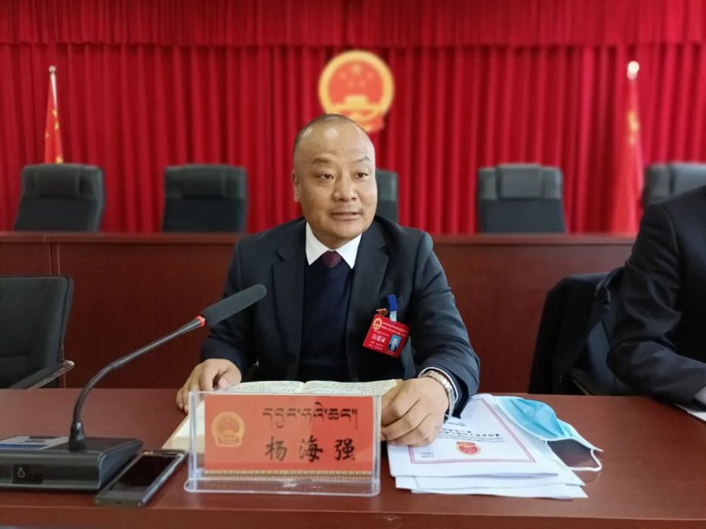 聚焦两会杨海强分别参加各人大代表团分团审议讨论