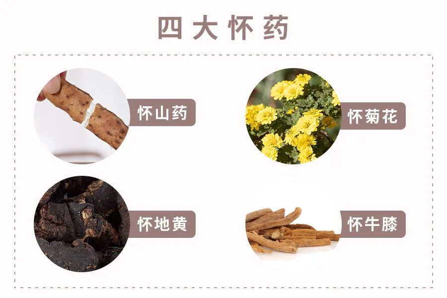 怀山药和怀菊花,怀地黄,怀牛膝并称"四大怀药"70年代那会,国内知晓