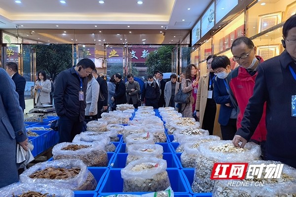 廉桥医药科技工业园,廉桥中药材市场,湘俏米业,智能制造研究院,九贝