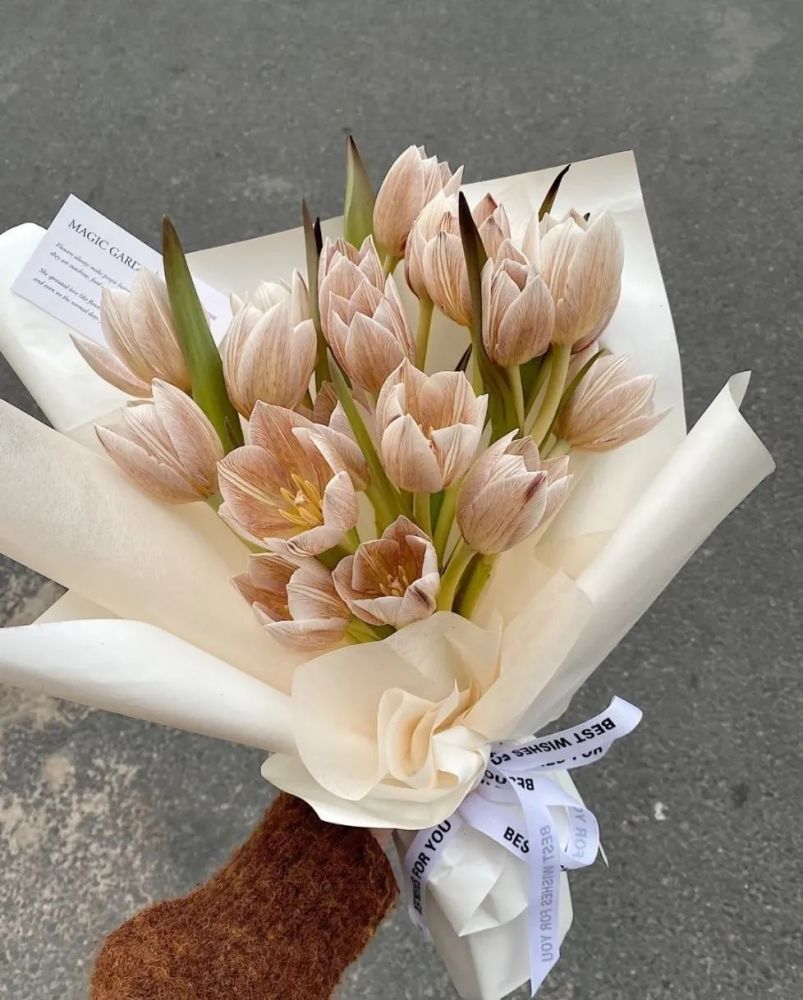 微信头像简直是百看不厌