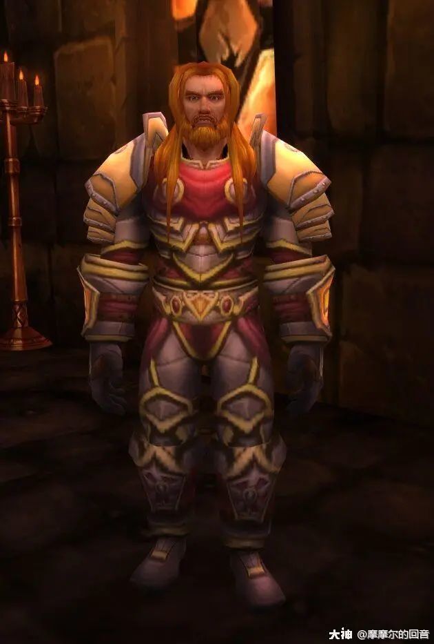 【炉边故事】原初圣骑士中的"巨人"勇士:赛丹·达索汉