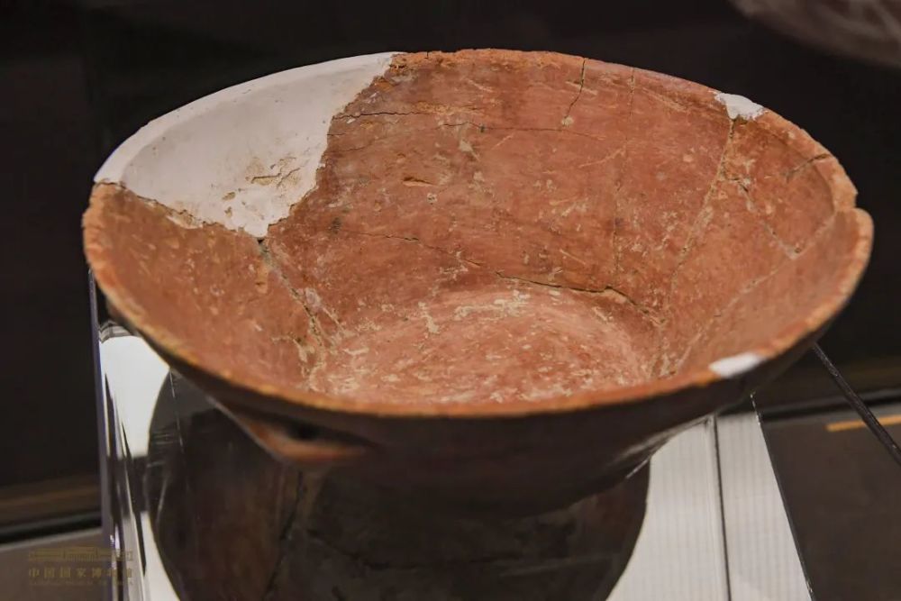 看最早的稻米与村落国博呈现上山考古特展