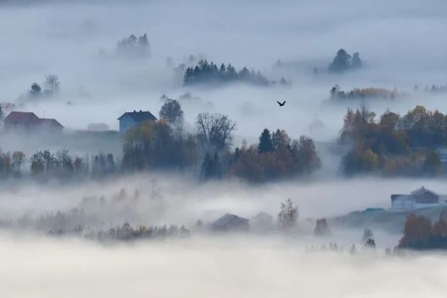 20幅关于雾天的摄影作品雾气缭绕美得像首诗