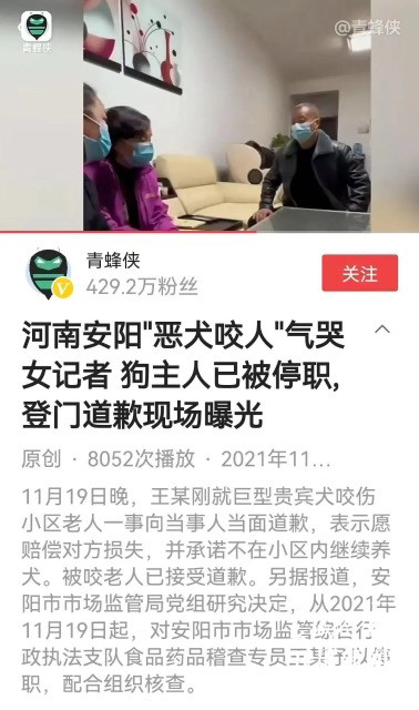 安阳狗咬人事件:无处说理才是大问题