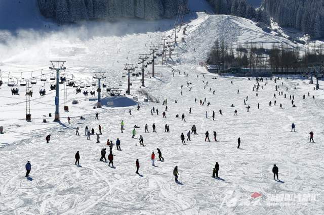 周末的乌鲁木齐南山,滑雪爱好者乐享速度与激情