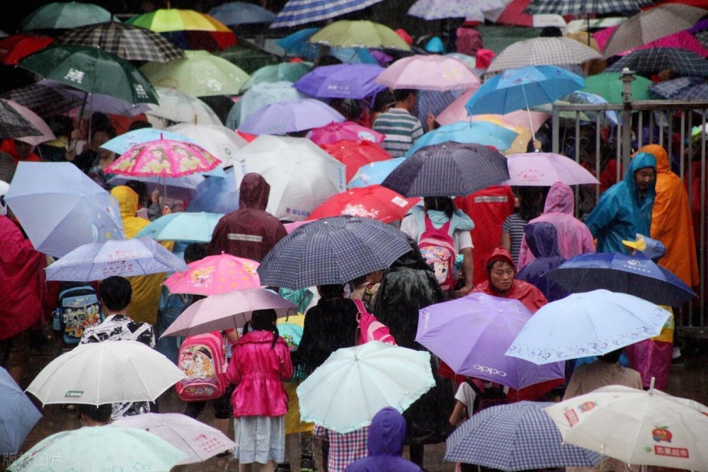 黄欣伟城市更新n部曲之下雨天的校门口
