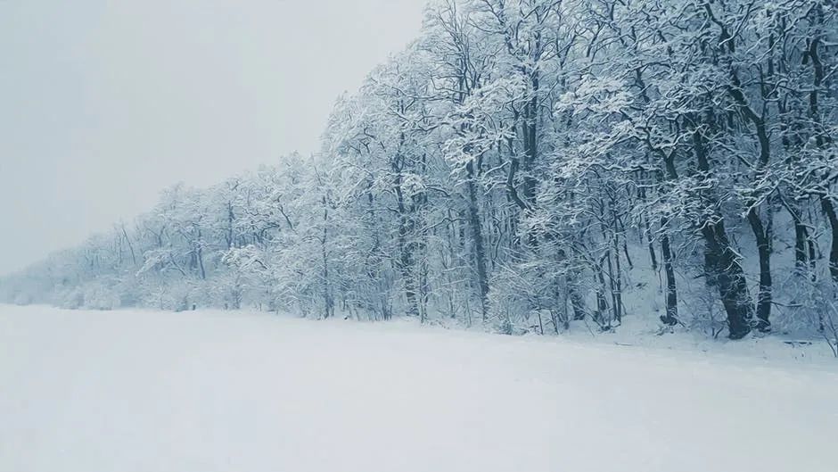 五首古詩,寫盡了小雪,寫盡了人生