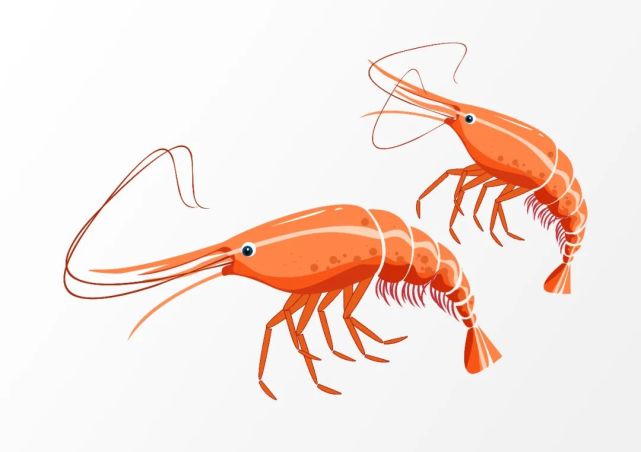 鱼虾贝等海鲜:鱼虾蟹等海鲜类食物含钙量较高,如小虾米能嚼壳一起吃.