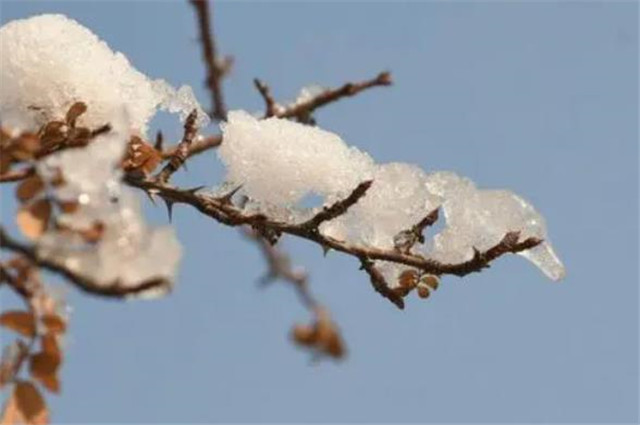 诗经里的雨雪霏霏,是雨和雪霏霏,还是下雪霏霏?