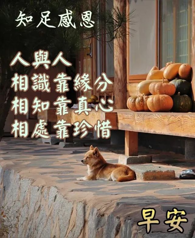 最美早上好图片带字带祝福语,免打字聊天的清晨早安问候祝福语