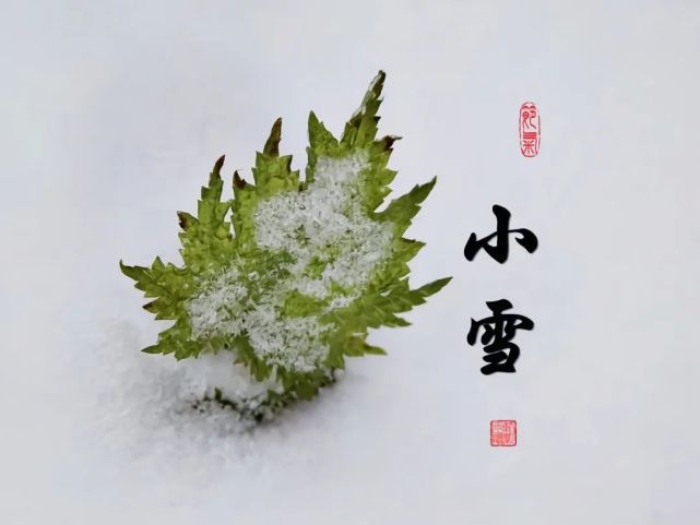 節氣◎小寒