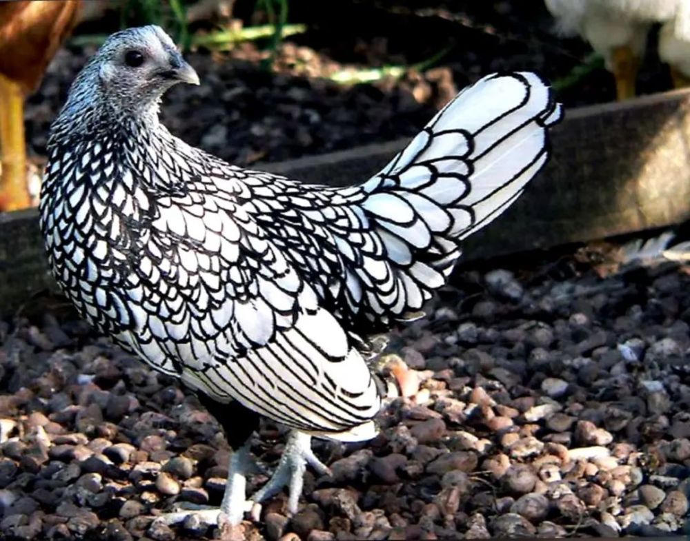 28张冷知识图片让人大开眼界