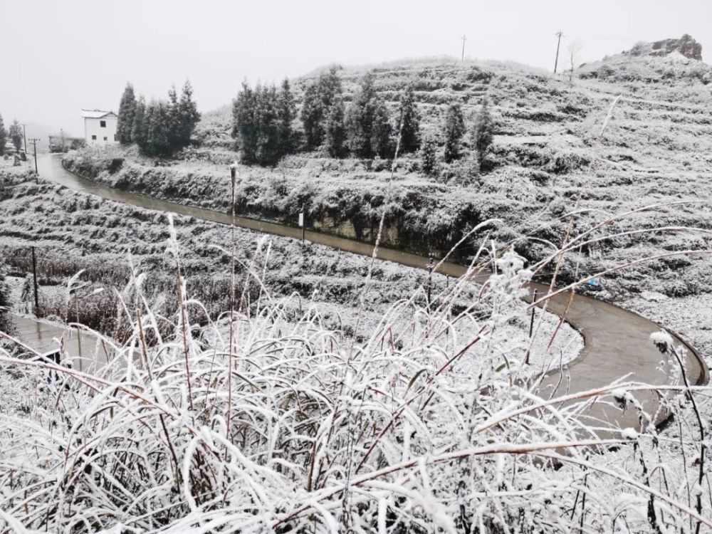 贵州毕节雪景图片