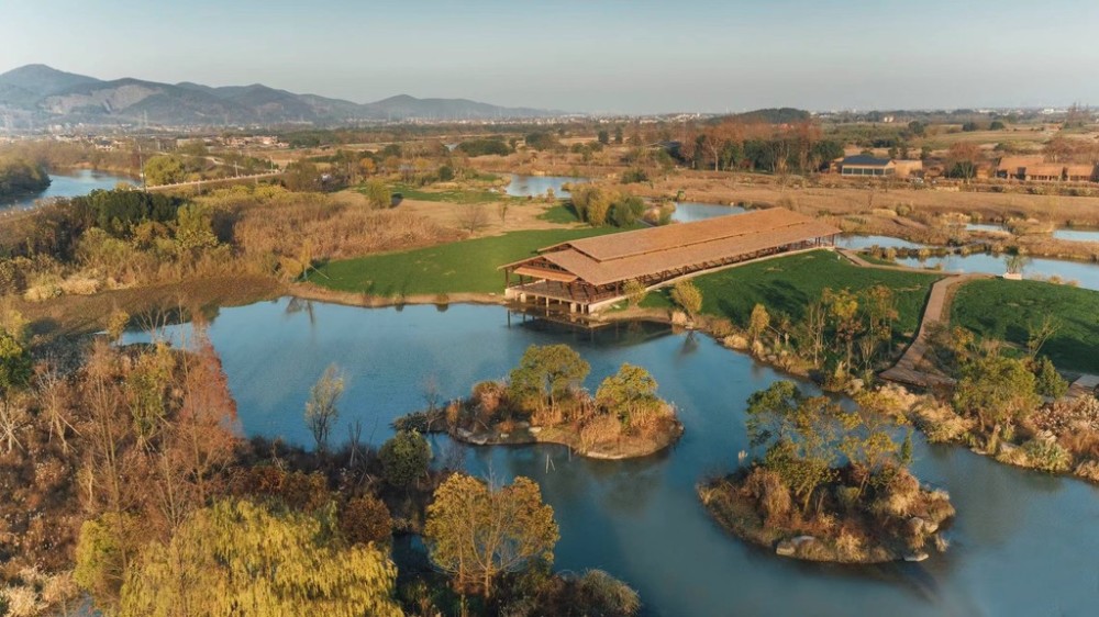 当我们从良渚古城遗址公园中地势最高的莫角山宫殿区极目远眺,五千年