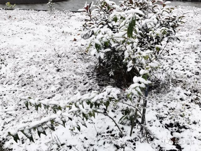 芒市苤菜坝下雪图片