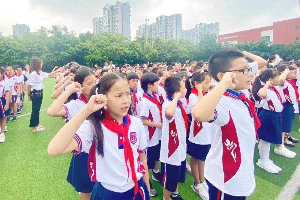 泡桐树小学天府校区(成都泡桐树小学天府校区)