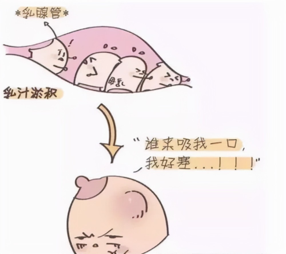谢娜的母乳塞满整个冰箱曾为哺乳涨奶发高烧女星坚持哺乳更难