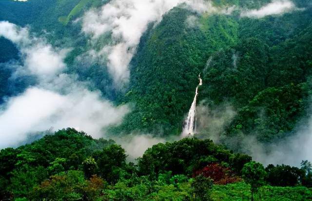 深入到雲南哀牢山腹地進行實地考察的4名地質人員失聯一週多後,遺體被