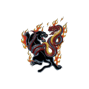 生肖虎vs生肖蛇,蛇虎一见如"射虎",彼此都会有些不自在,老一辈都认为