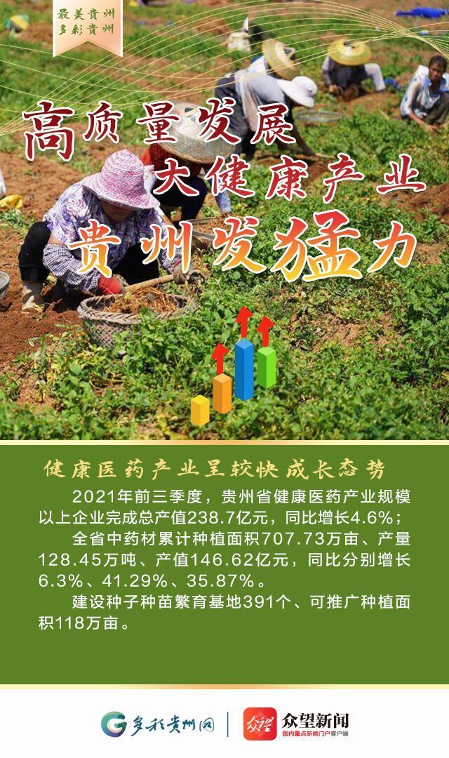 海报高质量发展大健康产业贵州发猛力