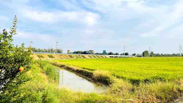 金秋好风光相约醉美北堤村