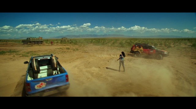 电影梭梭草蚂蚁森林种梭梭有故事啦