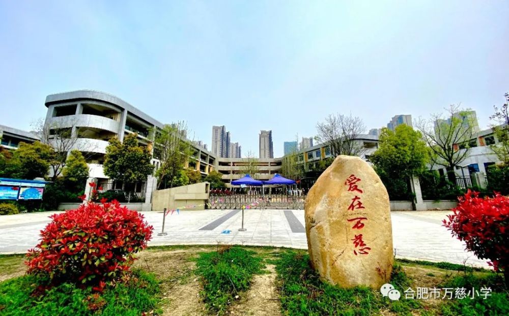 作为一所年轻的学校,万慈小学一直非常注重班级建设和班主任队伍的