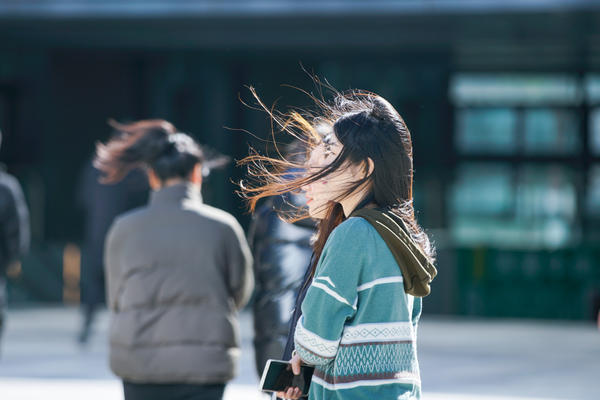 今天郑州的风太大了姑娘们的秀发随风乱舞被最后一张图撩到了