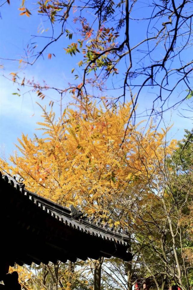 花果山风景区初冬美景详细天气预报light snow23日晴,西北风转西南风3